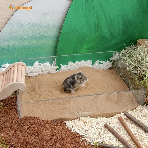 Vista 4 de Niteangel Baño de Arena del Desierto para Hámster Baño Sin Polvo o Arena para Baño de Hámster, Chinchillas, Jerbos, Ratones, Degu u Otras Mascotas