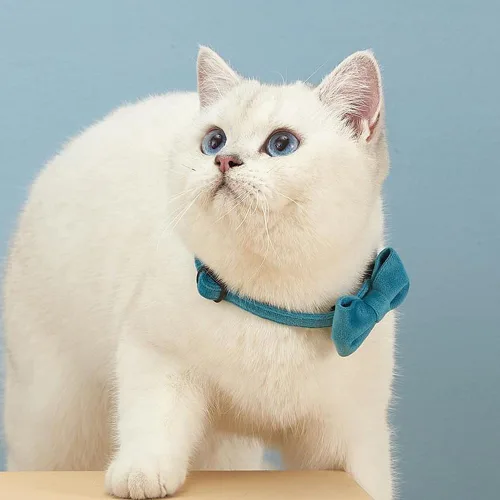 Vista 5 de Love Dream Collar de gato con pajarita y campanas, paquete de 2 collares de terciopelo de seguridad para gatitos con pajarita extraíble para gatos