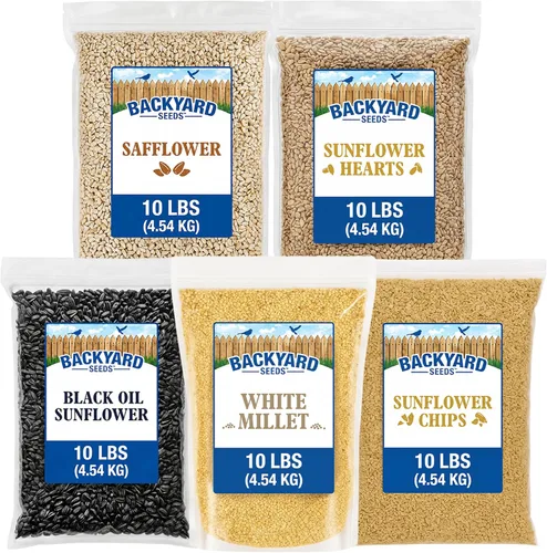 Vista 18 de CountryMax Backyard Seeds Semillas de Girasol de Aceite Negro (10 libras) Thin Shells, Cardinal Favorite, High Energy & USA Sourced. For Ground