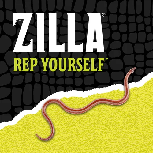 Vista 8 de Zilla Clips sin bloqueo para pantalla de aire fresco para terrario de reptiles, paquete de 2, tamaño grande