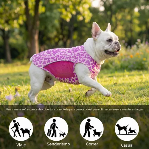 Vista 8 de Camiseta para perro con protección solar UPF 50+, paquete de 2 chalecos ligeros sin mangas para perros pequeños y niñas, tiras reflectantes, ropa
