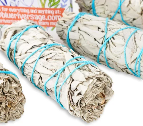 Vista 2 de 6 paquetes de salvia blanca ~ Bastoncillos de salvia para sahumerio y limpieza energética ~ A granel/al por mayor ~ Cultivado de manera sostenible