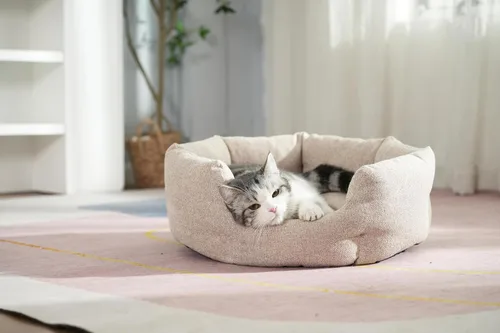 Vista 6 de Camas redondas lavables para gatos de interior, cama para perros extra pequeños, sofá para mascotas para cachorros, perros y gatitos, suave pero