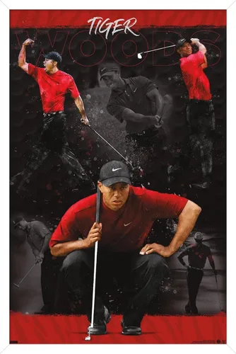 Vista 13 de Trends International Tiger Woods - Póster de pared de bosquejo, 14.725 x 22.375 pulgadas, versión enmarcada de madera de granero