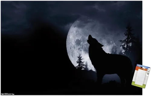 Vista 12 de Trends International Póster de pared de lobo - aullido, 14.725 x 22.375 pulgadas, versión enmarcada de madera de granero