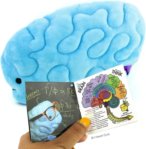 Vista 8 de Peluche de cerebro– ¡All You Need Is Lobe! - Serie I Heart Guts.