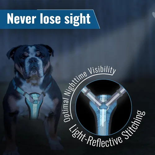 Vista 7 de Arnés para perro sin tirones con asa, arnés de entrenamiento de control de agarre para perros medianos, anillo en D frontal, reflectante, seguro