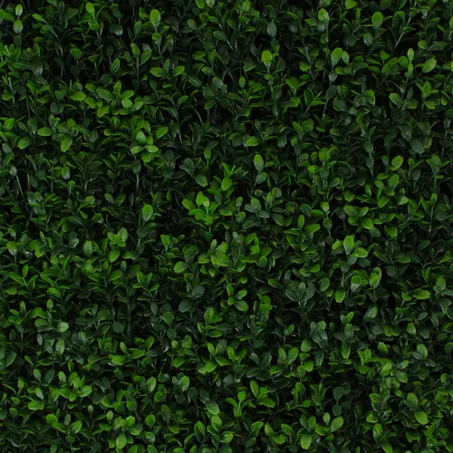 Vista 32 de 3rd Street Inn Paneles de pared de vegetación artificial para privacidad, paquete de 2