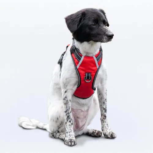 Vista 35 de Arnés antitirones para perro pequeño con 2 hebillas de liberación rápida y mango de fácil control, chaleco suave reflectante sin estrangulamiento