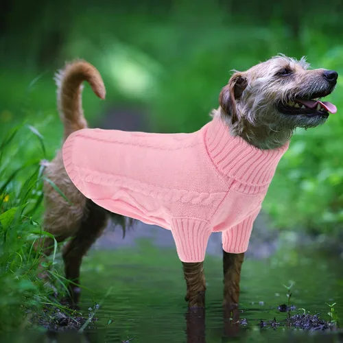 Vista 52 de Queenmore - Suéter de punto trenzado con cuello alto para perros pequeños, para climas fríos, para chihuahua, bulldog, teckel, carlino y yorkie, XS