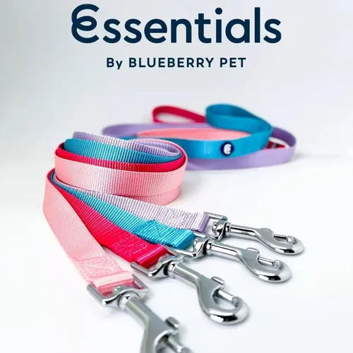 Vista 3 de Blueberry Pet - Correa Essentials clásica para perro con más de 20 colores, duradera, doble asa y de cuerda