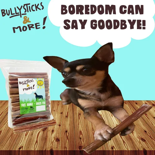 Vista 7 de BULLYSTICKS & MORE Bully Sticks de 6 pulgadas (regulares, paquete de 16 unidades), palitos para perros medianos 100% carne de res alimentada
