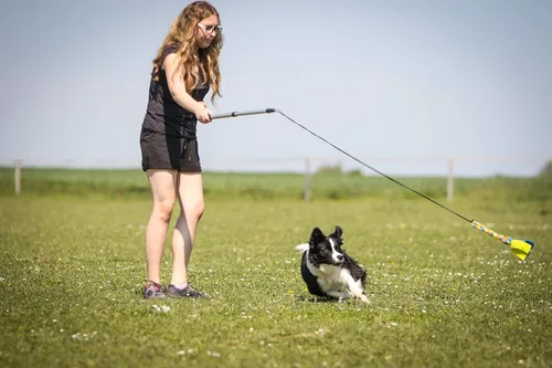 Vista 6 de YES4QUALITY Poste de coqueteo para perros – Seguro y fuerte para razas grandes con cuerda no elástica – Poste de resorte para tira y afloja, juego