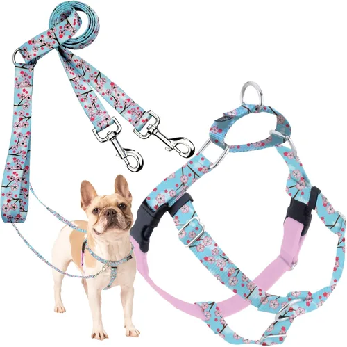 Vista 52 de 2 Hounds Design Freedom - Arnés para perro sin tirones, arnés ajustable y correa, fácil de caminar y control cómodo, se adapta a perros pequeños
