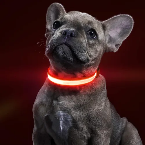 Vista 7 de BSEEN Collar para perro con luz LED, recargable, collares reflectantes resistentes al agua para cachorros, con luces navideñas que brillan