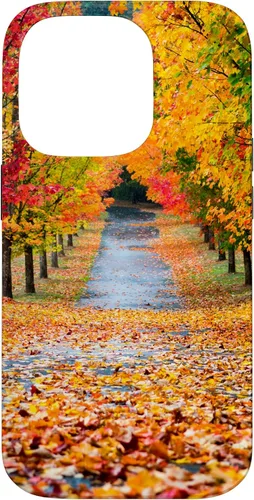 Vista 16 de iPhone 11 Otoño Hojas - Hermoso estuche de arboles