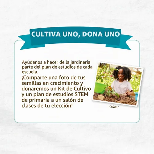 Vista 7 de Back to The Roots Variedad de semillas de flores orgánicas (paquete de 5)