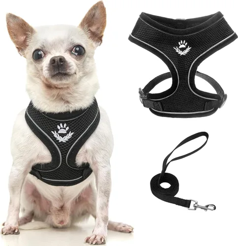 Vista 59 de PUPTECK Juego de arnés y correa de malla suave para perro, cachorro y gato, cómodo chaleco acolchado sin tirones, azul Pascua, S