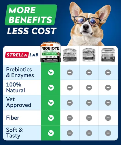 Vista 7 de Probióticos para perros para la salud digestiva y enzimas – Diarrea, gases, alivio del malestar estomacal y alergias de temporada – Probióticos