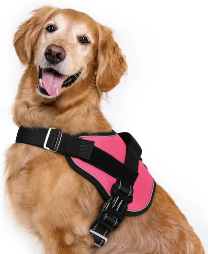 Vista 22 de rabbitgoo Arnés para perro pequeño, chaleco fácil de poner para mascotas con una hebilla, arnés de servicio ajustable sin tirones con anillo en D