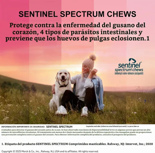 Vista 7 de SENTINEL SPECTRUM Masticables para perros, 50-100 libras, 6 masticables, suministro para 6 meses, caja azul