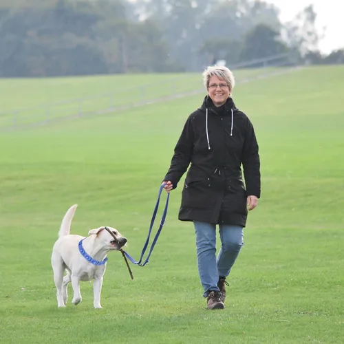 Vista 9 de Collar de entrenamiento para perros con 4 eslabones adicionales para perros medianos, grandes y extragrandes (azul)