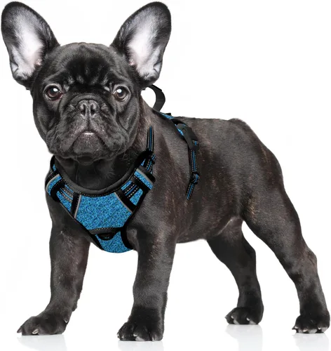 Vista 59 de BARKBAY Arnés para Perro Sin Tirones Talla Grande Arnés Reflectante para Perro con Clip Frontal y Asa de Control Fácil para Caminar Entrenar Correr