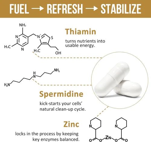 Vista 6 de Spermidine Supplements 13mg - 1300mg Cápsulas de extracto de germen de trigo fórmula potente con mayor contenido de espermidina y zinc para un