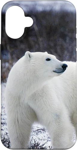 Vista 23 de Polar Bears Animal Nature Case for iPhone 17