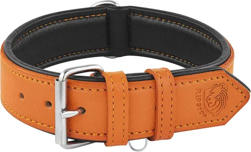 Vista 15 de Riparo Collar de perro de cuero ajustable – Collar de perro ancho resistente para perros pequeños, medianos, grandes y extra grandes con soporte Agua