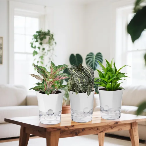 Vista 8 de Macetas de Riego Automático KIMCHOMERSE, Macetas de 6 Pulgadas para Orquídeas, Pack de 3 Macetas para Flores, Macetas para Plantas