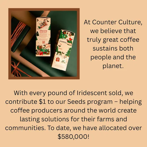 Vista 4 de Counter Culture Coffee Mezcla de café navideño iridiscente, tostado medio ligero, cultivado sosteniblemente, Kosher, café de grano entero, 12 onzas