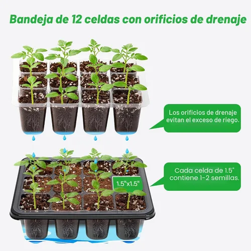 Vista 7 de Bonviee Paquete de 5 bandejas de inicio de semillas, kit de iniciación de plantas con cúpula de humedad ajustable y base de invernadero para Negro