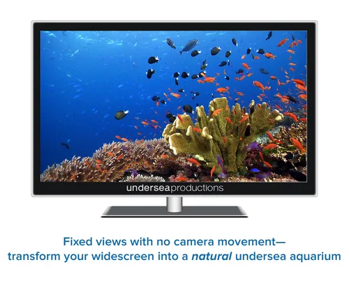 Vista 4 de Reefscapes Nature's Aquarium