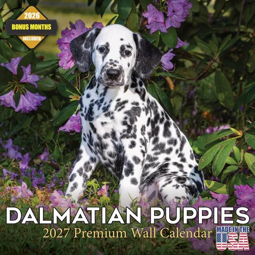 Vista 43 de Calendario de Lebrel Afgano 2025 2026, calendario mensual de pared de raza canina, 12" x 18" abierto, papel grueso sin traspaso, ideal para regalo