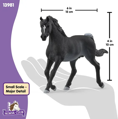 Vista 6 de Schleich Horse Club - Figura de semental árabe Rabicano - Figuras de poni para niñas y niños - Juguetes para niños a partir de 5 años