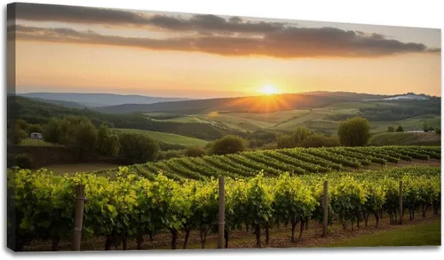 Vista 10 de Lienzo decorativo de 20 x 40 pulgadas, arte de pared de viñedo, paisaje, toscana, Italia, naturaleza, desierto, fotografía, cuadros enmarcados