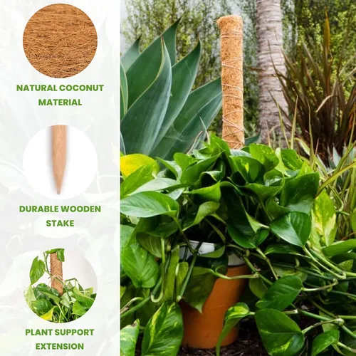 Vista 3 de Envelor Postes de musgo de coco, estacas de soporte para plantas de coco, estaca para plantas de coco, poste de tótem de fibra de coco, poste
