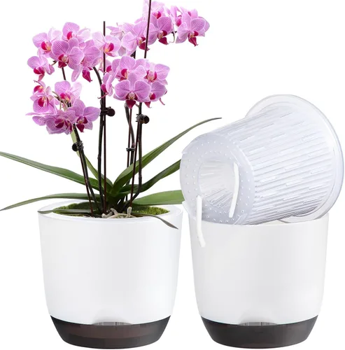 Vista 33 de QCQHDU 2 Pack 5.7 Inch Orchid Pots with Holes for Repotting, Double-Layer and Self Watering Orchid Pot with Good Air Circulation Verde