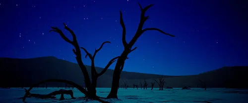 Vista 7 de Samsara Blu-ray