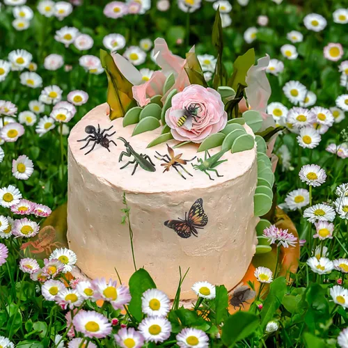 Vista 4 de SIENON 12 figuras realistas de plástico grandes para insectos e insectos
