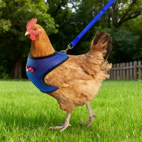 Vista 2 de Juego de arnés y correa para pollo, malla ajustable, transpirable, arnés de entrenamiento de pato, correas para mascotas, correas para ganso Negro
