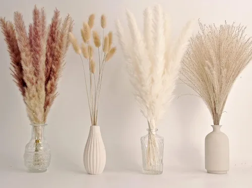 Vista 12 de 10 tallos de hierba de las pampas de 40 pulgadas de alto en color beige natural, añade un toque bohemio a tu espacio: hierba de las pampas ideal