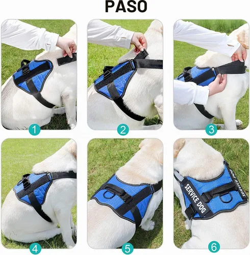 Vista 3 de Juego de correa de arnés para perro personalizado sin tirones con número de Original