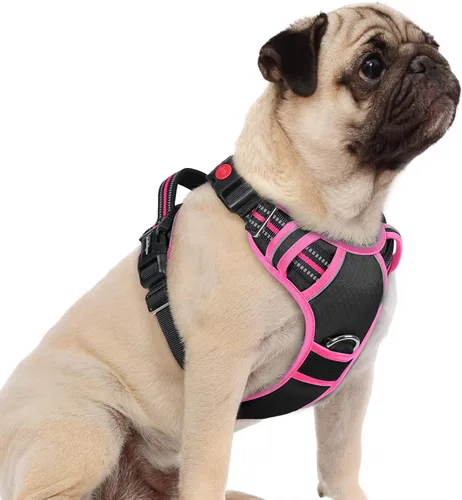 Vista 33 de Rabbitgoo - Arnés para perro de tamaño pequeño, sin tirones, 3 hebillas, fácil de poner y quitar Negro