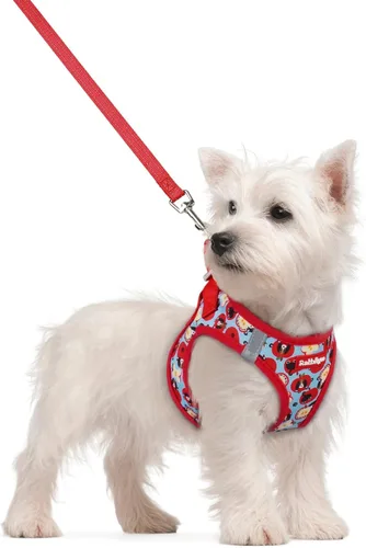 Vista 204 de rabbitgoo Arnés para perro de tamaño pequeño y juego de correa, chaleco Cachorros de manzana