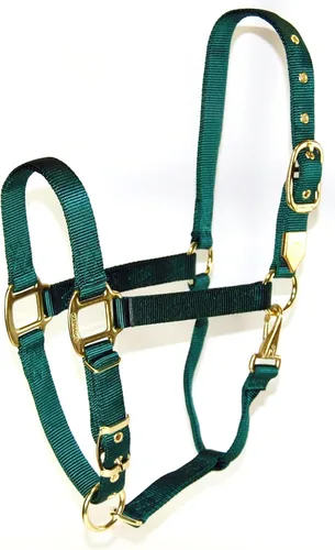 Vista 14 de Hamilton, Halter de 1 pulgada con barbilla ajustable, azul baya, 800-1100 libras