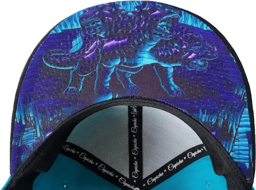 Vista 6 de Capiche - Gorra de visera plana de serie especial, talla única, unisex, hombre, más de 99 diseños