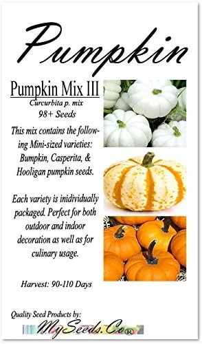 Vista 2 de Paquete grande (más de 98 semillas) variedades de calabaza miniatura (Bumpkin, Casperita, Hooligan) perfectas para decoración de exteriores e