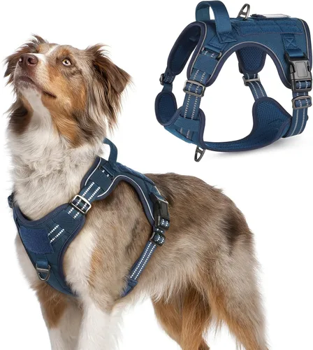 Vista 75 de rabbitgoo Arnés táctico para perros pequeños, chaleco de servicio militar sin tirones con asa y Molle, de fácil control para entrenar y caminar
